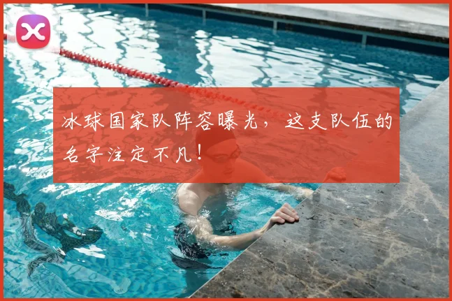 冰球国家队阵容曝光,这支队伍的名字注定不凡!