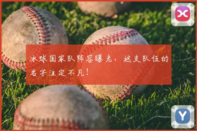 冰球国家队阵容曝光，这支队伍的名字注定不凡！