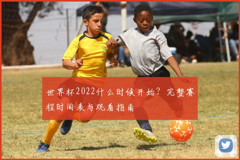 世界杯2022什么时候开始？完整赛程时间表与观看指南